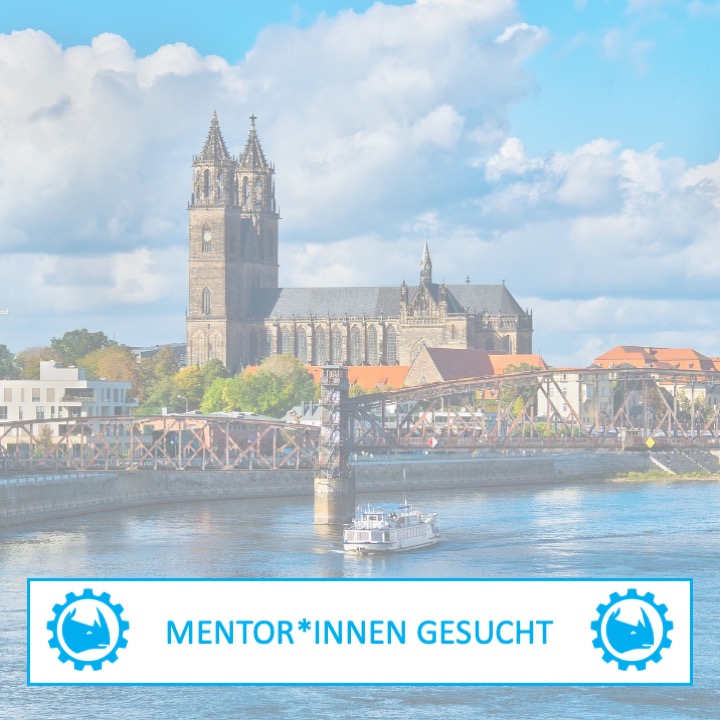 Mentor*innen gesucht